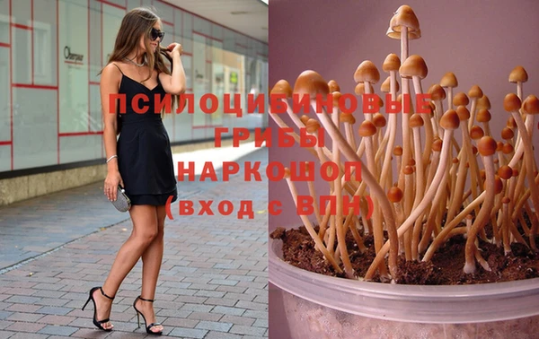 мескалин Алзамай