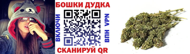 магазин продажи   Амурск  Канабис Amnesia 
